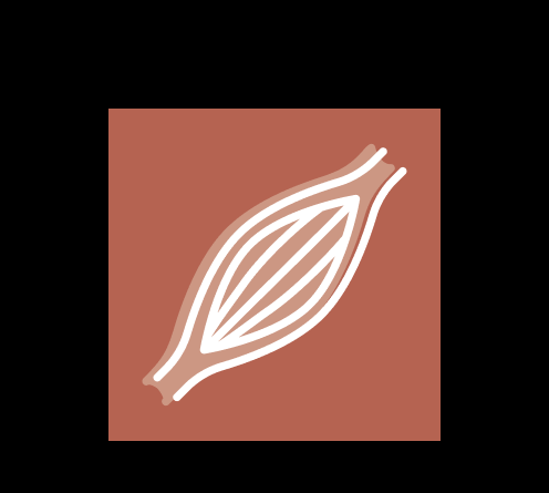 Uebersichtsseite Icon Muskel